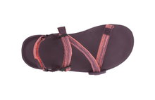 Xero Shoes Sandały Z-Trail EV magenta Damskie